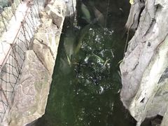 -青青世界