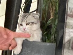 -seeu coffee(江滩店)