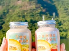 -野萃山·潮汕厚果汁(十亩地店)