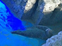 -运城海洋馆