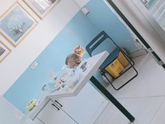 -瑞派福兴宠物医院犬猫全科·骨科·中西医结合(河东店)