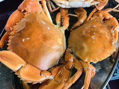 大闸蟹-南沙十九涌渔人码头-南门