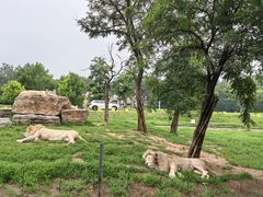 -秦皇岛野生动物园
