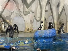 -太平洋海底世界