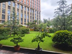 -复旦大学附属中山医院(西院区)