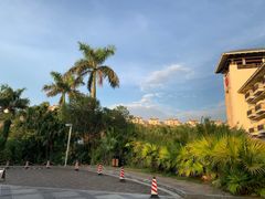 -采粤轩中餐厅(惠州金海湾喜来登度假酒店)