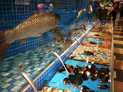 -蓝钻·国际美食海鲜自助百汇(西直门店)
