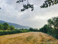 -抱龙峪