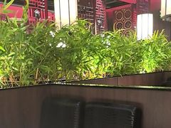 -山城辣妹子(定福庄店)