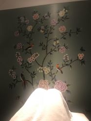 -奈瑞儿美养院