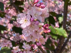 -福建鲤鱼洲酒店