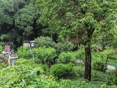 -乌山风景区