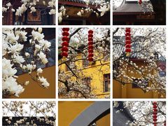 -杭州上天竺法喜讲寺