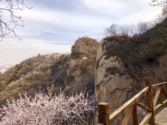 -大岭沟猕猴桃谷风景区