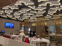 -阿五黄河大鲤鱼(海尚店)