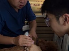 -瑞派宠物医院·24h·骨外科·皮肤科·全科宠物医疗转诊中心(沈阳浑南院)