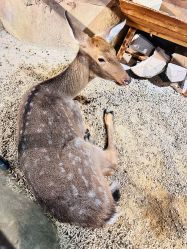 -酷嗒动物文化乐园(cutezoo西溪乐天城店)