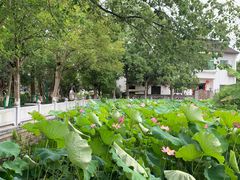 -丝绸小镇荻港古村