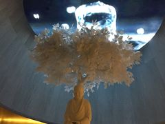 -Apple零售店(新街口店)