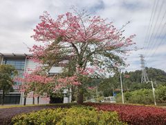 -中国移动南方基地