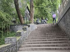 -扬州大运河文化旅游度假区·盆景园