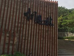 -银湖山郊野公园-相思林