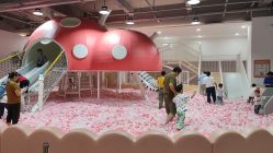 -宝燕乐园(春申店)