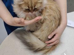 -联合动物医院(光谷诊疗中心)