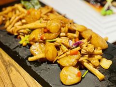 -荟廷·晶萃(陆家嘴尚悦湾店)