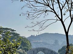 -顺峰山公园