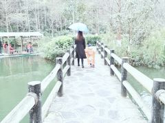 -桂林古东瀑布景区