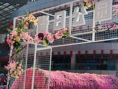 -石狮世茂摩天城摩天轮