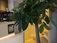 -泰合玺·精油疗愈 SPA(南京河西万达店)