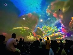 -烟台海昌鲸鲨海洋公园