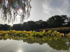 -北陵公园