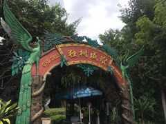 -瑞丽独树成林风景区