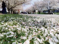 -上海辰山植物园