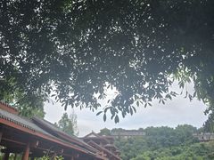 -重庆彩云湖湿地公园