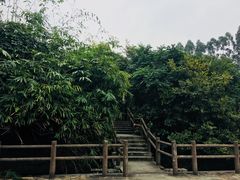 -金山公园