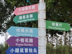 -前小桔亲子创意农场·草莓采摘·露营烧烤
