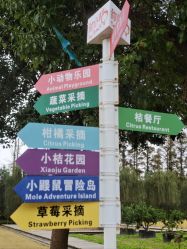 -前小桔亲子创意农场·草莓采摘·露营烧烤