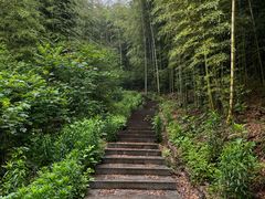 -兰亭风景区