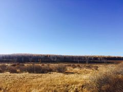 -塞罕坝国家级自然保护区