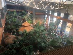 -陆地游轮吉林神农温泉