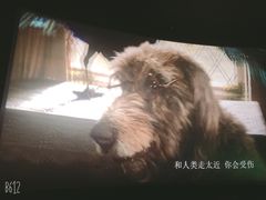 -吾悦广场(南京鼓楼店)