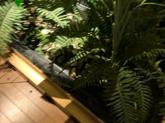 -浅深(北京北四环精品店)