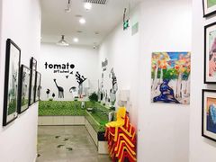 -学知乐教育·幼小衔接·小学科辅导(浦东外高桥森兰中心)