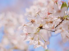 -龙美术馆(西岸馆)