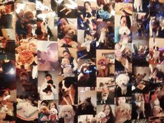 -百好乐宠物友好餐厅(朝外大街店)