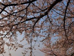 -蒋记海鲜姿造•洋房别墅(星河湾店)